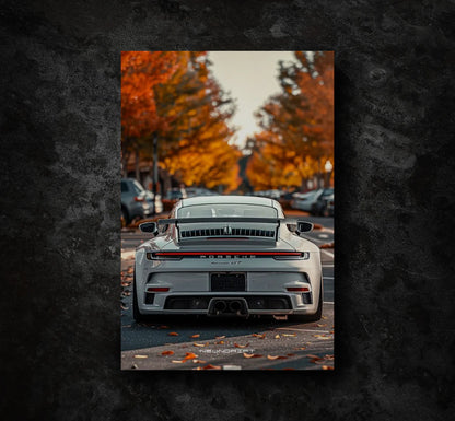 Porsche 911 Park
