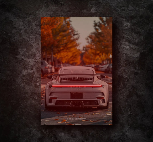 Porsche 911 Park